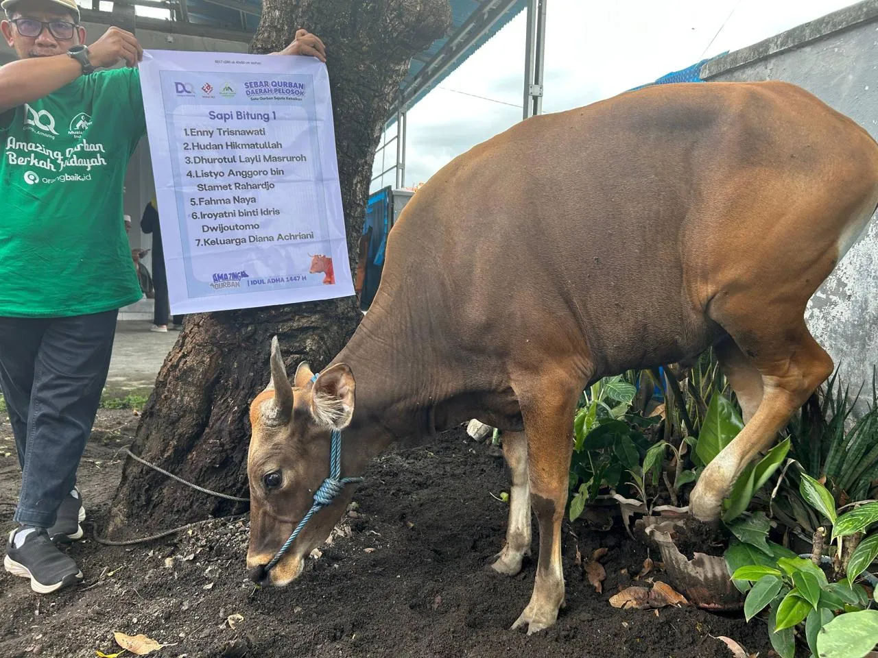 Foto penyerahan qurban 5