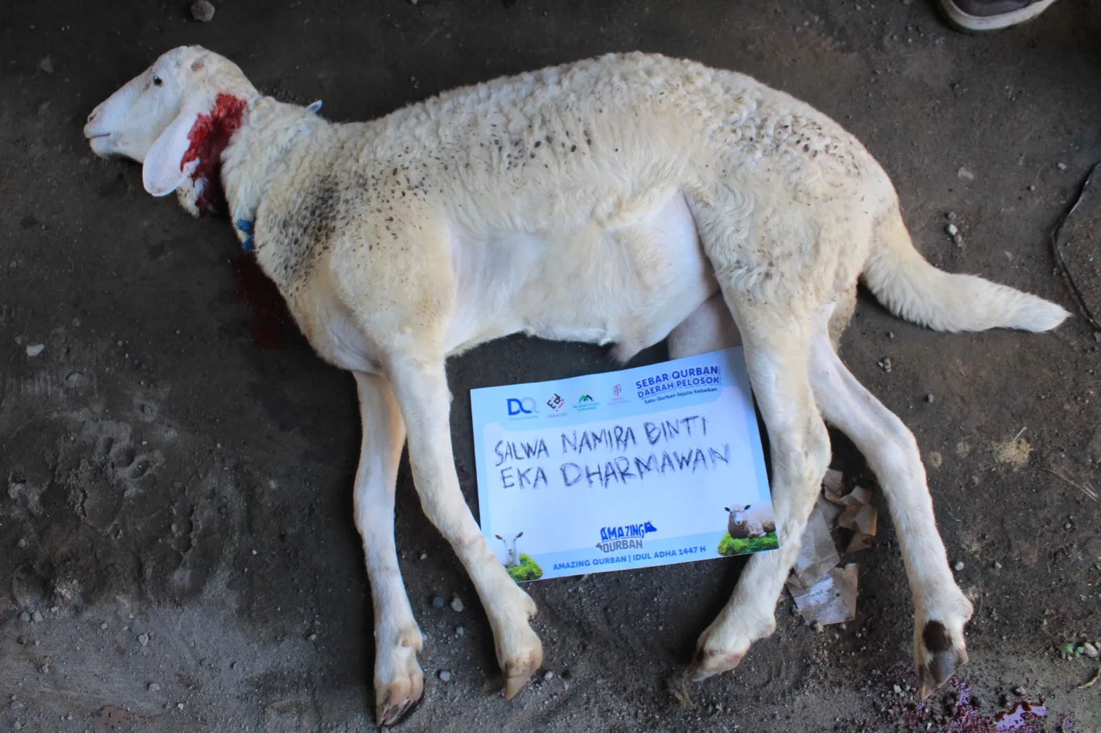 Foto penyerahan qurban 2